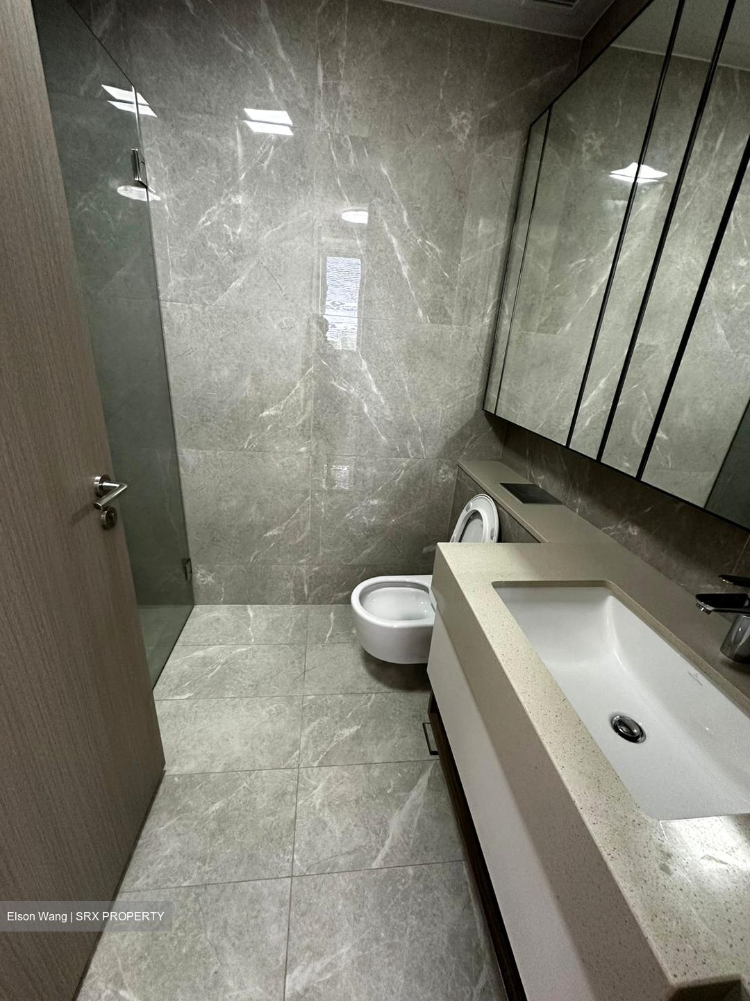 Dairy Farm Residences (D23), Apartment #523302051